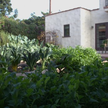 Farmscape - Nurseries & Gardening Near Me - Oakland, California Farmscape - Nurseries & Gardening Near Me - Oakland, California