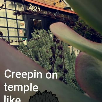 Temple Coffee - Coffee & Tea Near Me - Sacramento, California