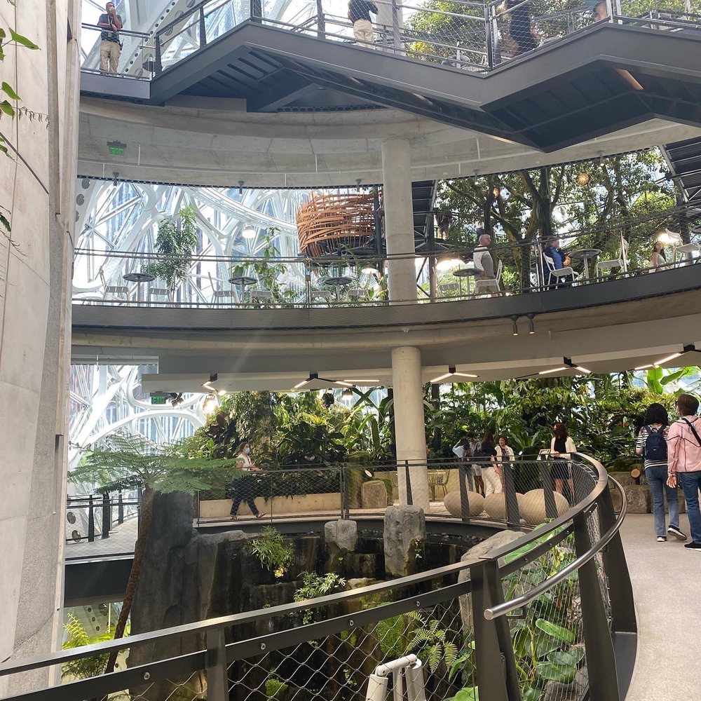 Amazon Spheres - 4 levels! - Botanical Gardens Near Me - Seattle, Washington Amazon Spheres - 4 levels! - Botanical Gardens Near Me - Seattle, Washington