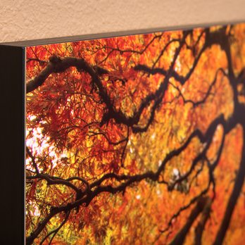 HD Aluminum Prints - Flush mount gives finished look. - Photography Stores & Services Near Me - Vancouver, Washington HD Aluminum Prints - Flush mount gives finished look. - Photography Stores & Services Near Me - Vancouver, Washington