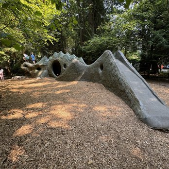 Deane's Children Park - Dragon slide - Parks Near Me - Mercer Island, Washington Deane's Children Park - Dragon slide - Parks Near Me - Mercer Island, Washington