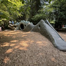Deane's Children Park - Dragon slide