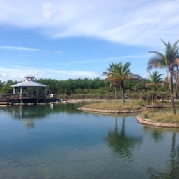 Florida Oceanographic's 750,000 gallon saltwater gamefish lagoon. Two feedings daily. Florida Oceanographic's 750,000 gallon saltwater gamefish lagoon. Two feedings daily.