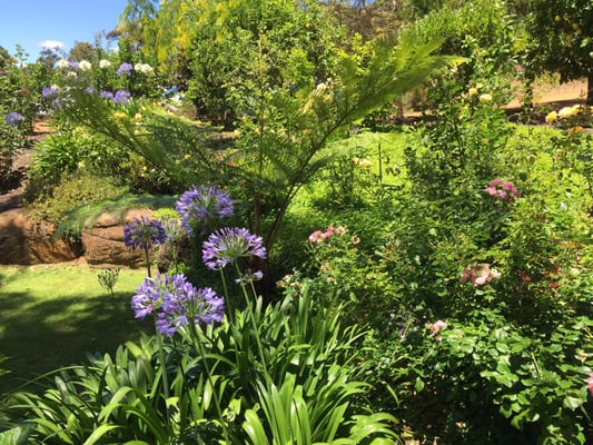 Aravina Estate by null