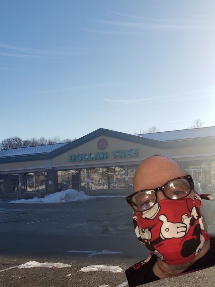 DOLLAR TREE STORES Updated November 2024 141 Pine St Hamburg New DOLLAR TREE STORES Updated November 2024 141 Pine St Hamburg New