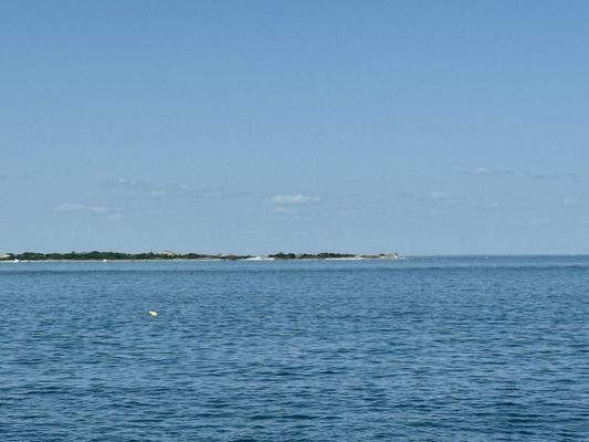 Essex River Cruises & Charters by null