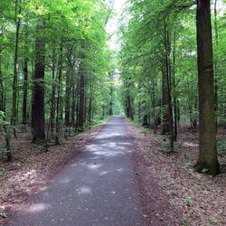 Cyklostezka A21 Modřany - Černý Most
