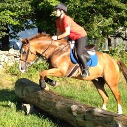 N&C Equestrian