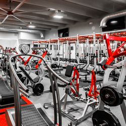 Top Notch Training - Personalized training programs to cater to your your body's needs and your overall fitness goals