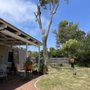 Photo of Aloha Tree Care