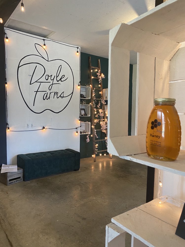 DOYLE FARMS MARKET CAFE & CREAMERY Updated July 2024 11 Photos 10917 Ridge Rd, Wolcott