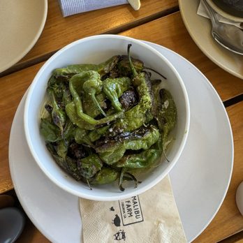 Malibu Farm - Coffee & Tea Near Me - Tiburon, California