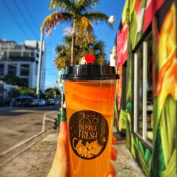 Bubble Fresh - Bubble Fresh Super Fruit Tea
