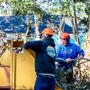 Photo of Rodney Willis Florida Tree Service