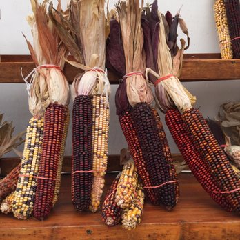 Briermere Farms - Bakeries Near Me - Riverhead, New York