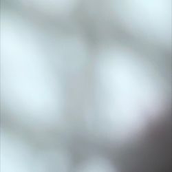 Elite Rooter Central Coast