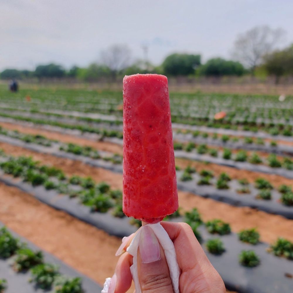 Sweet Berry Farm - Attraction Farms Near Me - Marble Falls, Texas