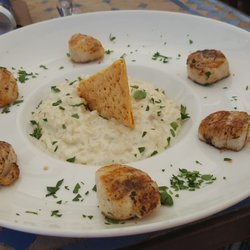 Chez Marco Plage - Scallops and creamed mushroom risotto