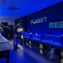 Photo of Planet Reef