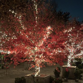 HIGH HAND NURSERY - Updated February 2026 - 711 Photos & 211 Reviews