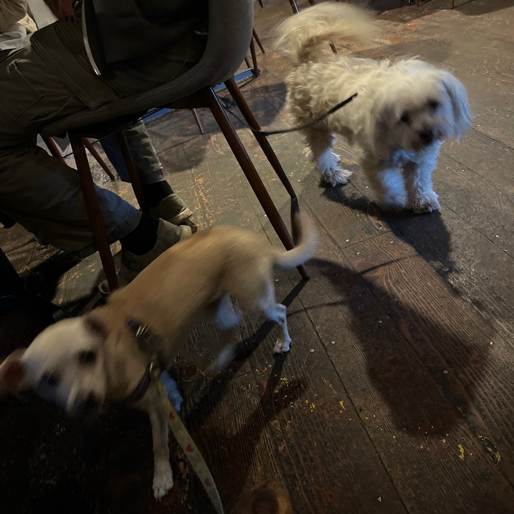 Ojai Deer Lodge - And the Deer Lodge is puppy-friendly! - American Near Me - Ojai, California Ojai Deer Lodge - And the Deer Lodge is puppy-friendly! - American Near Me - Ojai, California