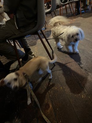 Ojai Deer Lodge by null