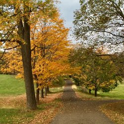 Rockefeller walking & hiking trails