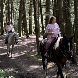 Serene Horse Ranch