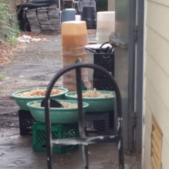 Oegadgib - That's the potato salad. By the way it was raining and they didn't move it. It sat outside like this for 2 hours - Korean Near Me - Annandale, Virginia Oegadgib - That's the potato salad. By the way it was raining and they didn't move it. It sat outside like this for 2 hours - Korean Near Me - Annandale, Virginia