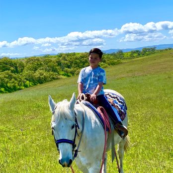 Paso Robles Pastures - Horseback Riding Near Me - Paso Robles, California Paso Robles Pastures - Horseback Riding Near Me - Paso Robles, California