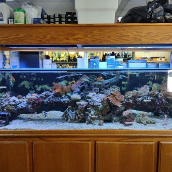 CK Fish World - Pet Stores Near Me - Lakewood, California