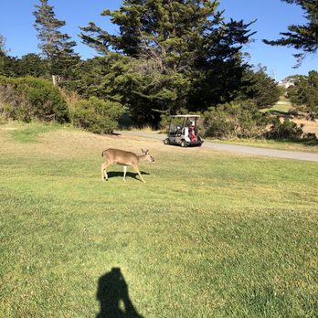 Crystal Springs Golf Course - Golf Near Me - Burlingame, California Crystal Springs Golf Course - Golf Near Me - Burlingame, California