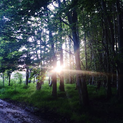 Heaton Park by null