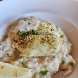 Harbor Grill - Halibut with pistachio crumbs and a green onion and squash risotto.