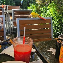 Riverside Grill & Bar