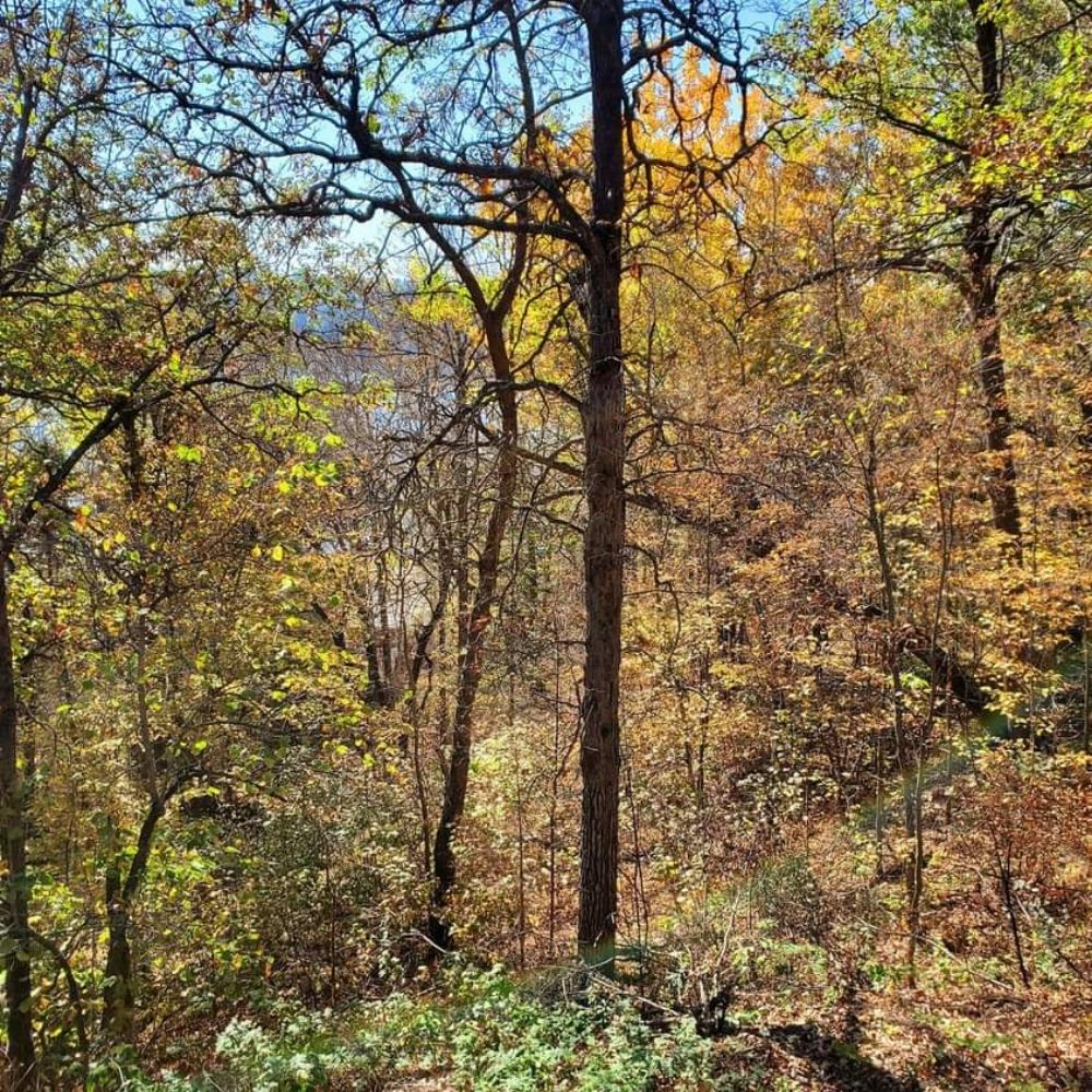 BIG ELBOW LAKE LODGE AND CAMPGROUND Updated October 2024 24 Photos 40419 Elbow Lake Store