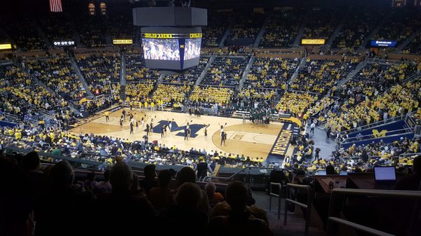 University of Michigan by null