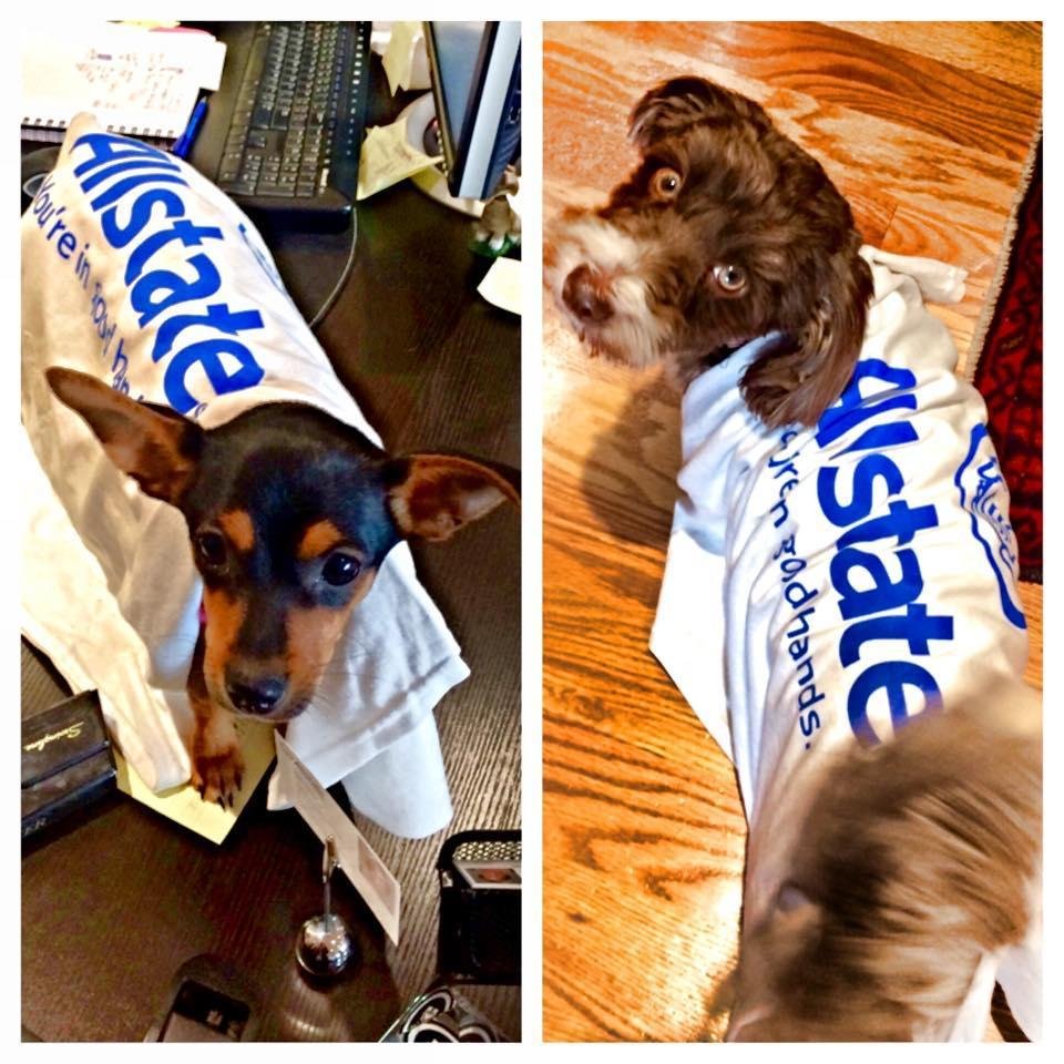 ALLSTATE INSURANCE THE HANLEY AGENCY 13 Photos & 15 Reviews 695