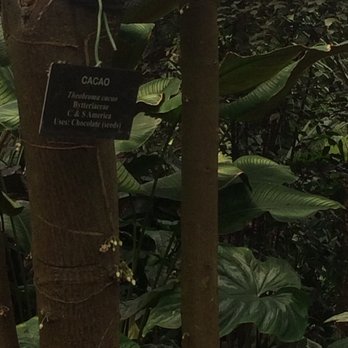 Lincoln Park Conservatory - Parks Near Me - Chicago, Illinois