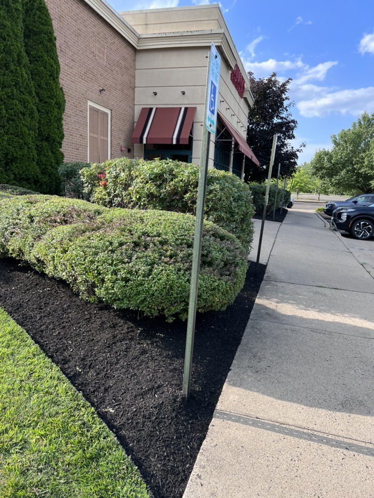 J J BROTHERS LANDSCAPING Updated October 2024 28 Photos Glenside