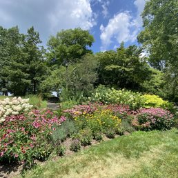 Lots of beautiful gardens, etc, throughout campus