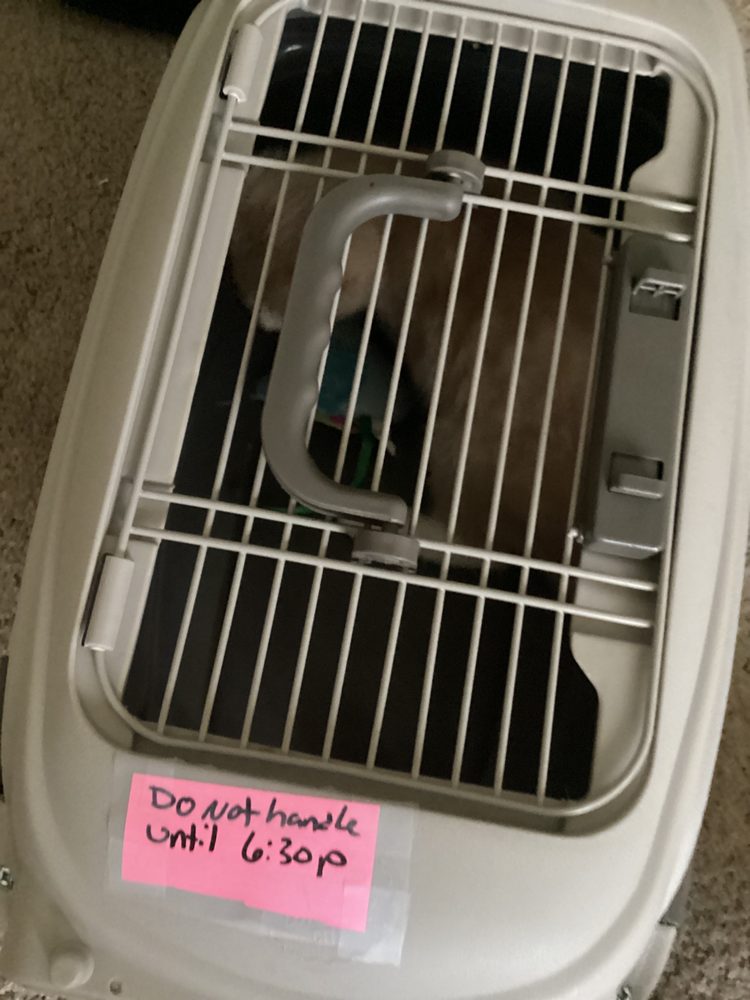 ANIMAL EMERGENCY CENTER OF THE QUAD CITIES Updated September 2024