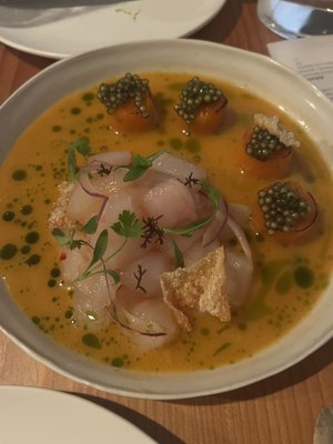 Seabird by null Seabird by null