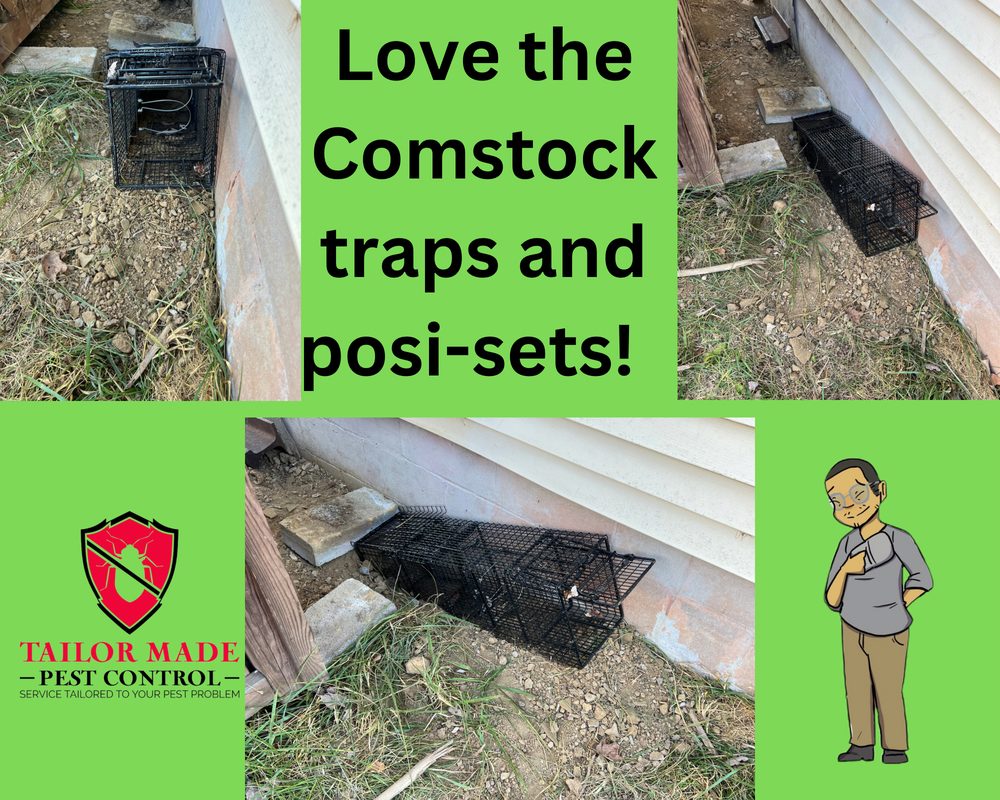 TAILOR MADE PEST CONTROL 64 Photos 3715 Bardstown Rd, Louisville