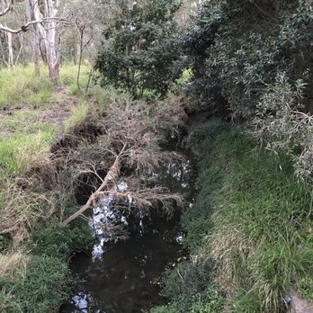 7th Brigade Park - Downfall creek is a great location to bring the family - Landmarks & Historical Buildings Near Me - Brisbane, QLD