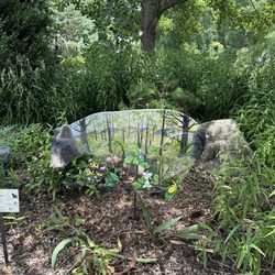UT Gardens