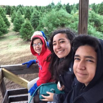 Elgin Christmas Tree Farm - We got the perfect christmas tree  #ElginChristmasTreeFarm - Christmas Trees Near Me - Elgin, Texas