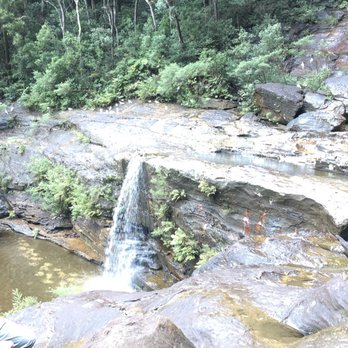 Blue Mountains Eco Tours - Tours Near Me - Sydney, NSW