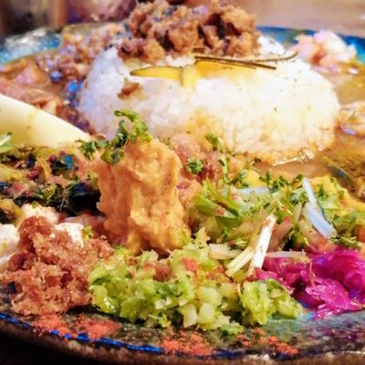 BOTANI:CURRY by null