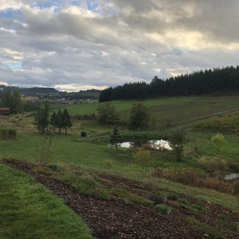 Domaine Divio - Wine Tasting Room Near Me - Newberg, Oregon